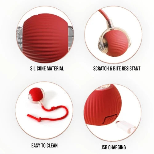 Electric Automatic Cat Rolling Ball Toy with Tail | Obstacle Avoidance Sensor And Motion Activated | Smart Silicone & Tough Built | Rechargable