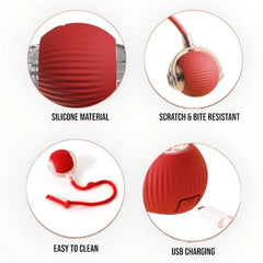 Electric Automatic Cat Rolling Ball Toy with Tail | Obstacle Avoidance Sensor And Motion Activated | Smart Silicone & Tough Built | Rechargable