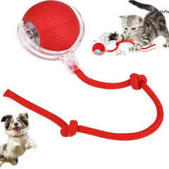 Automatic Cat Rolling Ball Toy with Tail